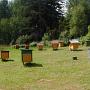 Estonia - Honningeparadiset